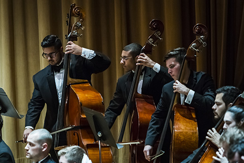 Cello players are concentrating while playing during a performance