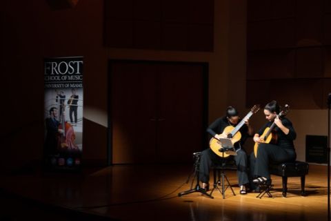 classicalguitar480-new.jpg